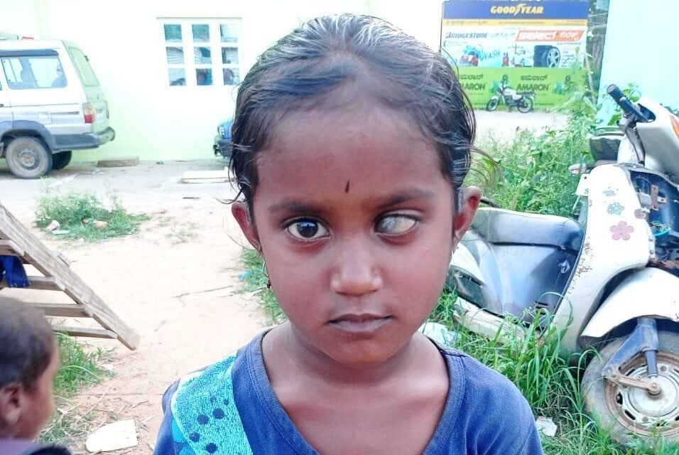 whatsapp image 2026 03 05 at 9.08.02 pm