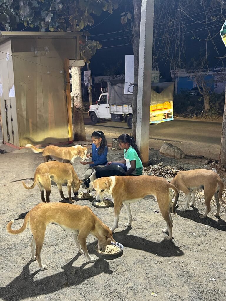 whatsapp image 2026 03 14 at 7.12.25 pm